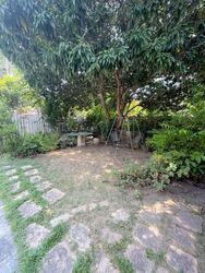 Canary Park (D16), Semi-Detached #614503641